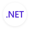 .net technology card icon