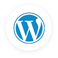 wordpress technology card icon