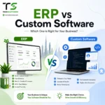 ERP vs Custom Software